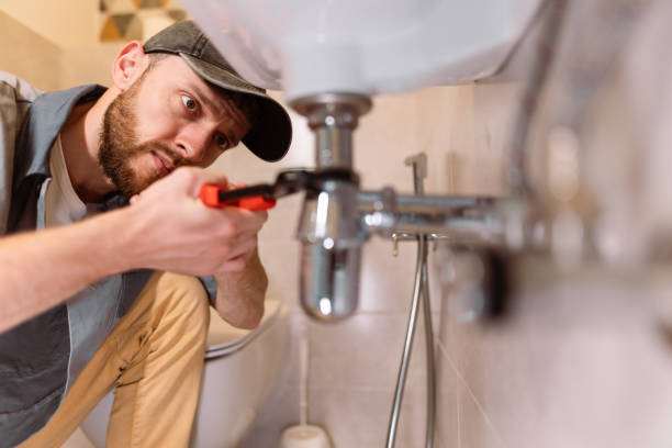Best Plumbing Services Near Me  in Lyons, IL