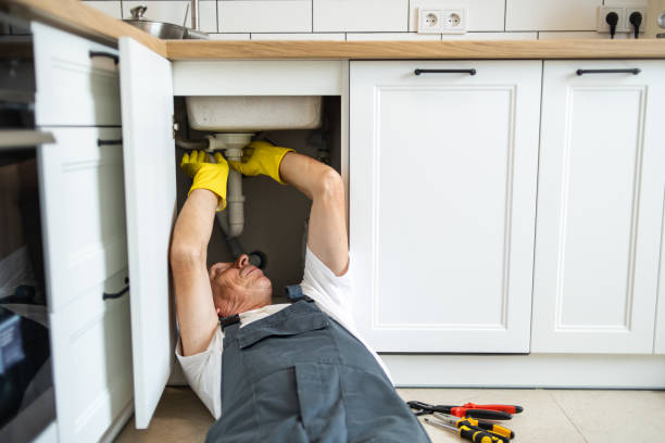 Best Sewer Line Repair  in Lyons, IL
