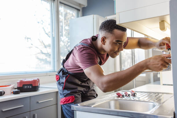 Best Local Plumber Services  in Lyons, IL